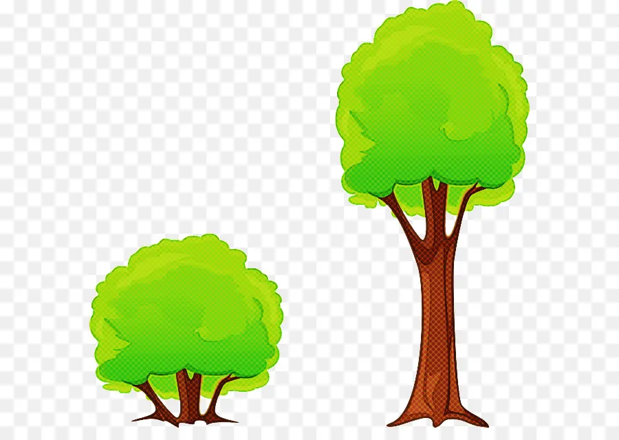 Verde，Árbol PNG