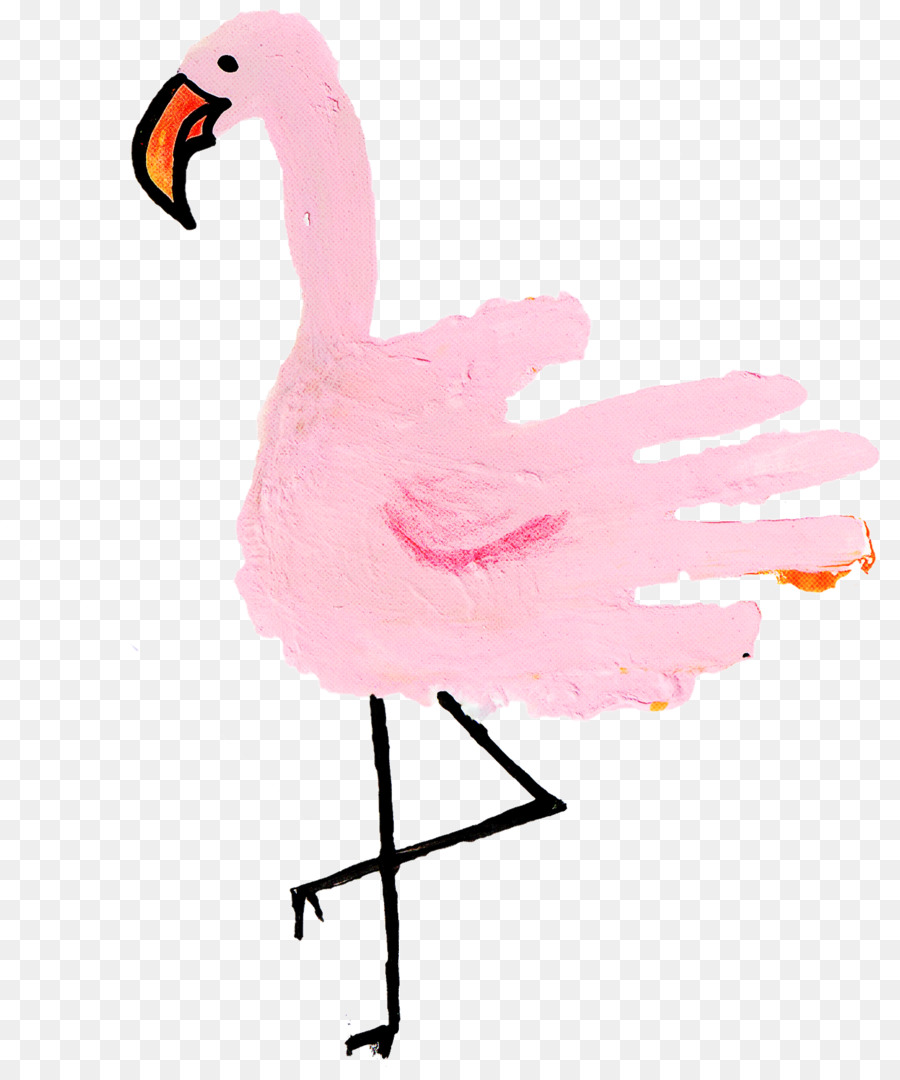 Aves，Flamingo PNG