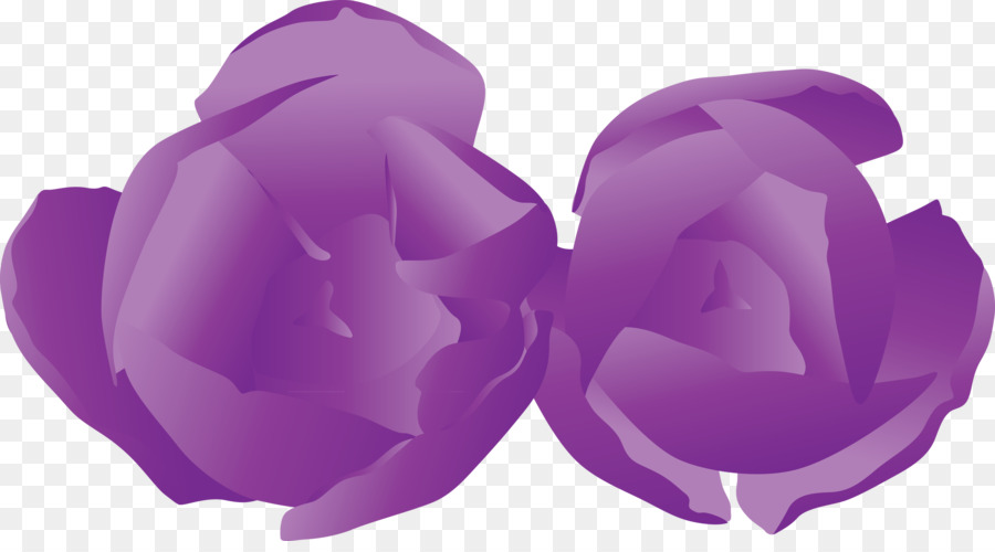 Violeta，Morado PNG