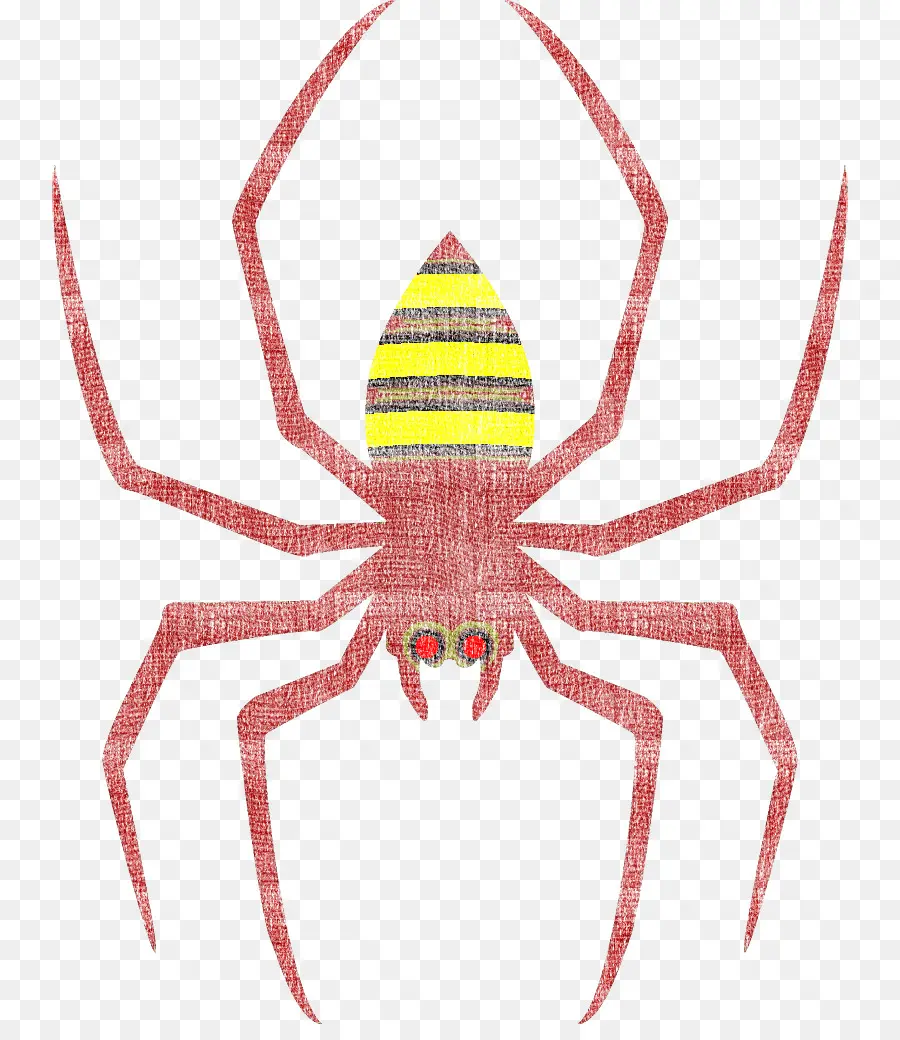 Araña，Rojo PNG