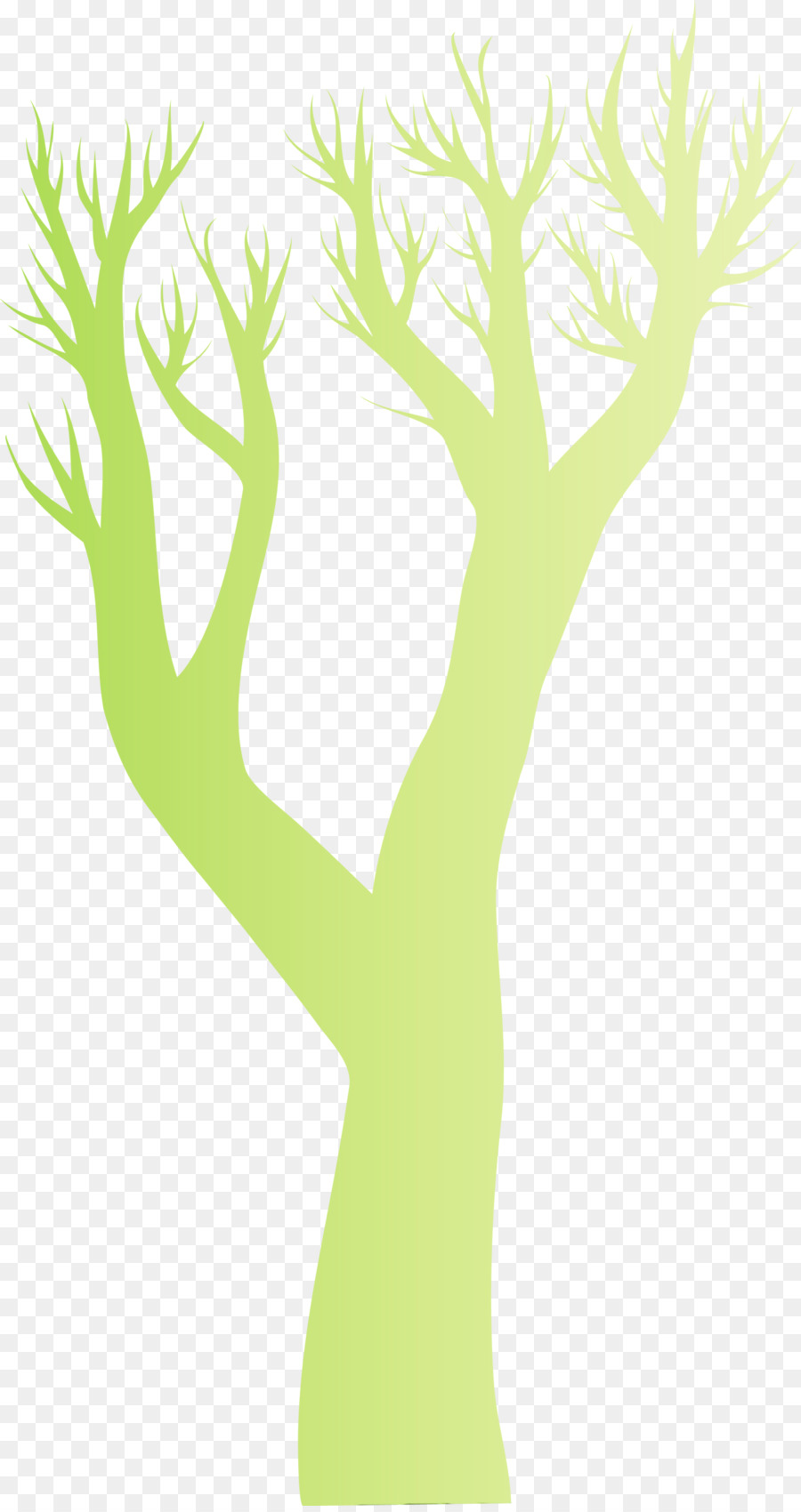 Verde，Árbol PNG