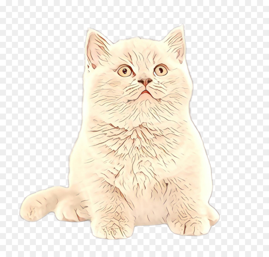 Gato，De Pequeñas A Medianas Gatos PNG