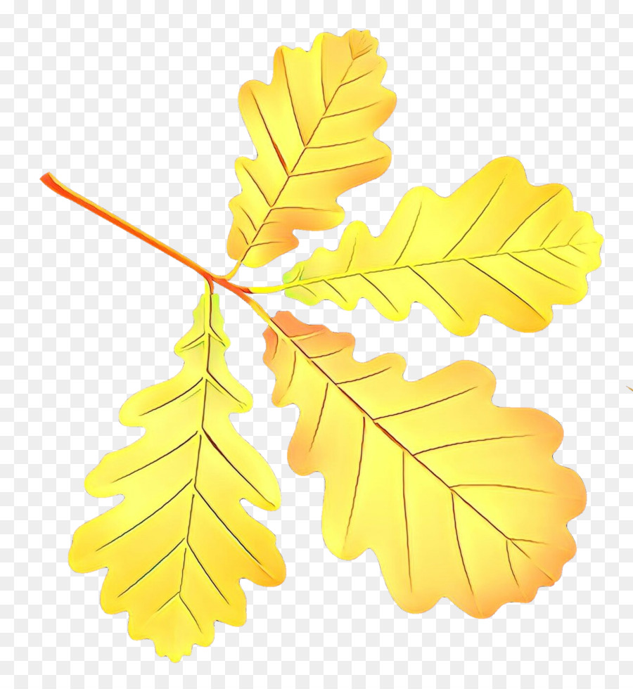 Hoja，Árbol PNG