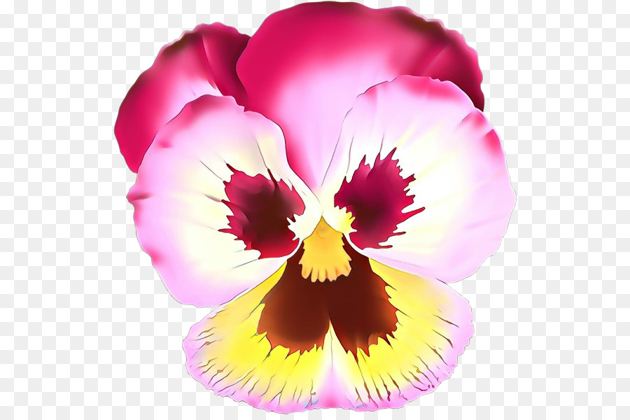 Flor，Pétalo PNG