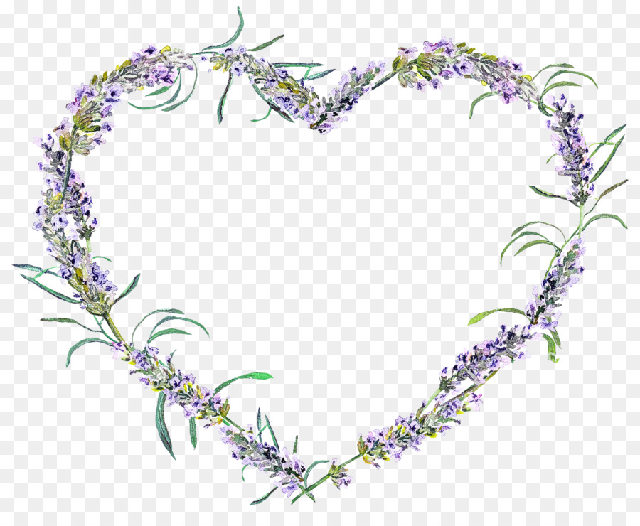 Lavanda，Lila PNG