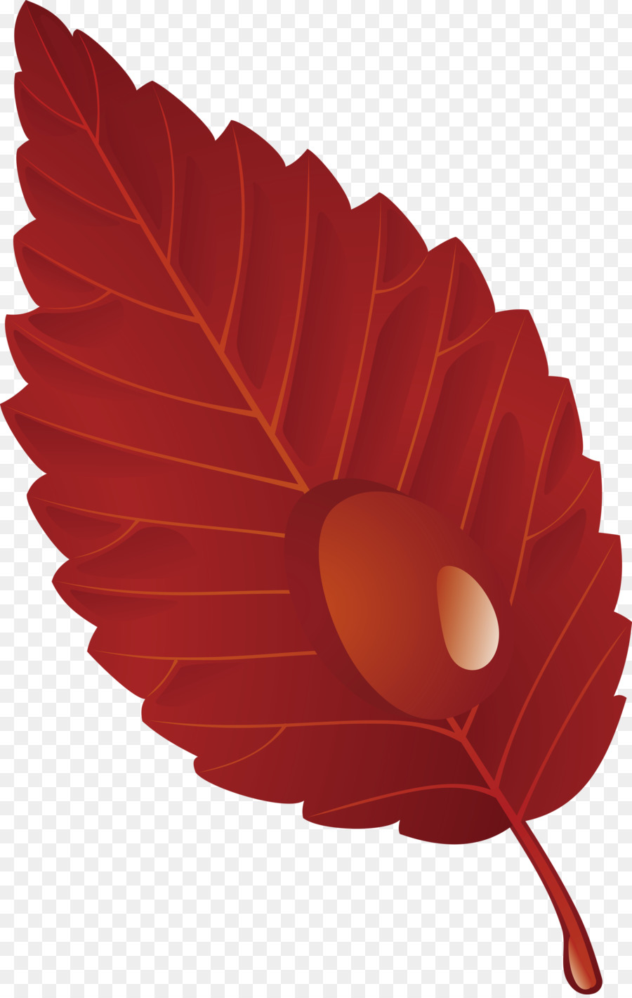 Hoja De Otoño，Caer PNG