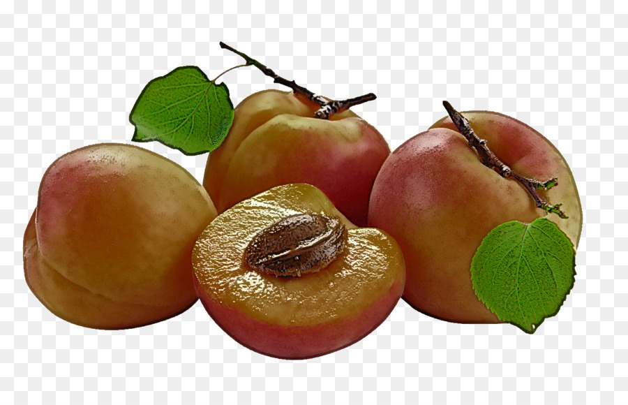 El Ciruelo Europeo，La Fruta PNG