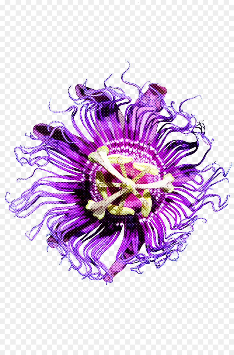 Violeta，Pasionaria PNG