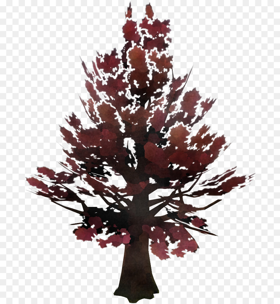 Árbol，Hoja PNG