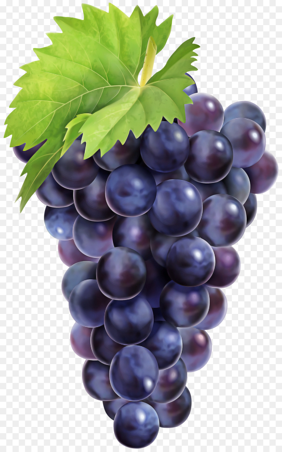 Uvas，Púrpura PNG