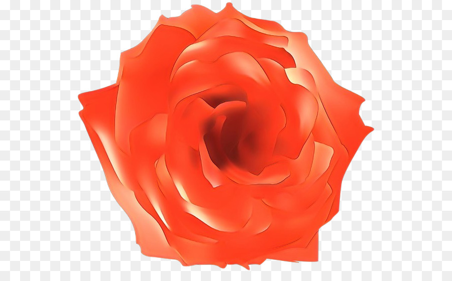 Las Rosas De Jardín，Rojo PNG