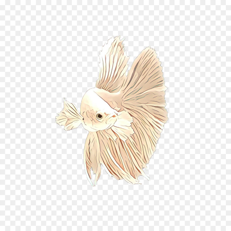 Blanco，Pluma PNG