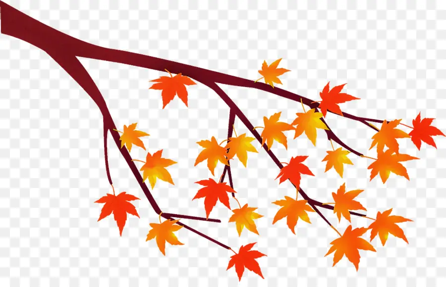 Hojas De Otoño，Árbol PNG