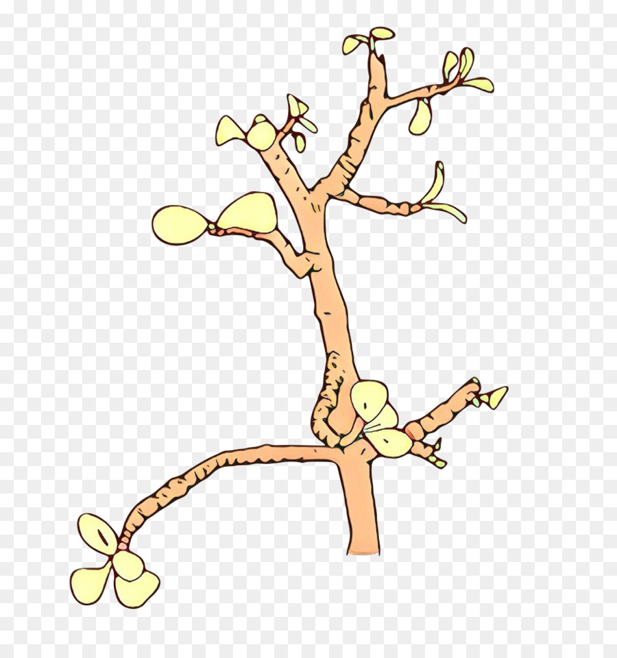 Rama，Árbol PNG