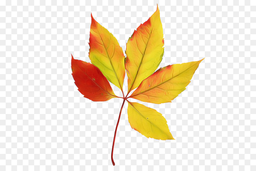 Hojas De Otoño，Caer PNG