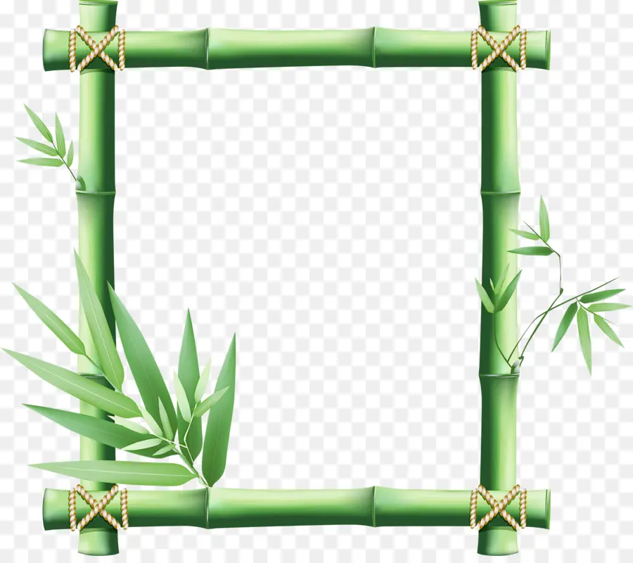 Verde，Planta PNG