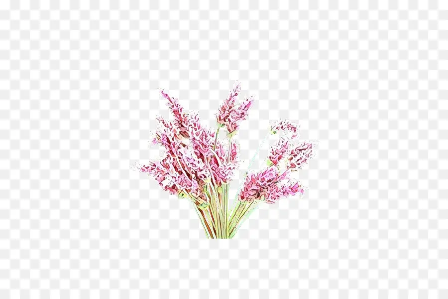 Lavanda，Flores PNG