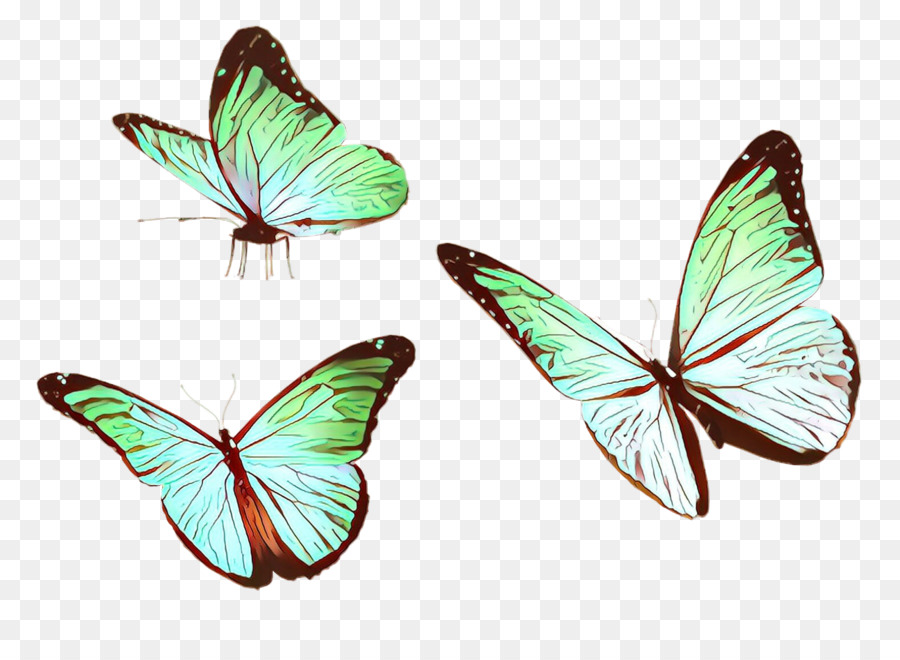 Mariposas Verdes，Alas PNG