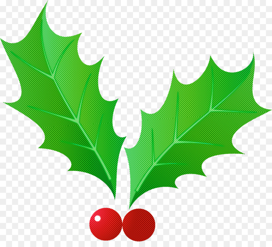 Hojas De Acebo，Navidad PNG