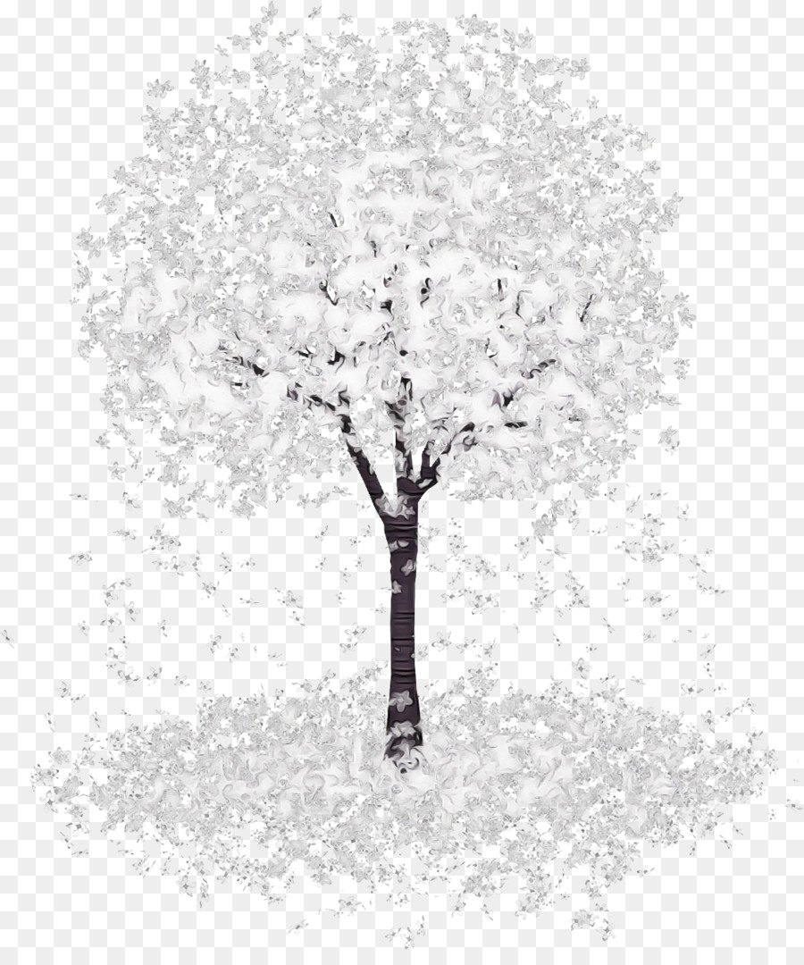 Árbol，Hojas Blancas PNG