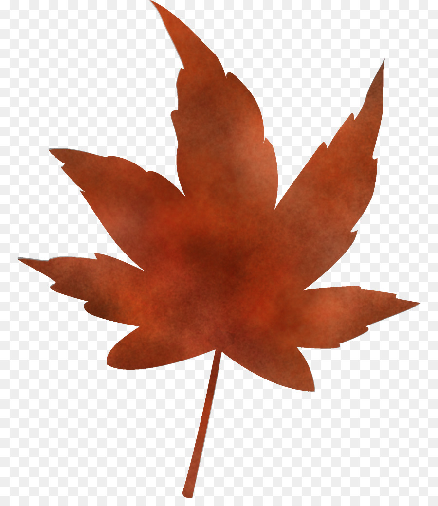 Hoja De Otoño，Caer PNG