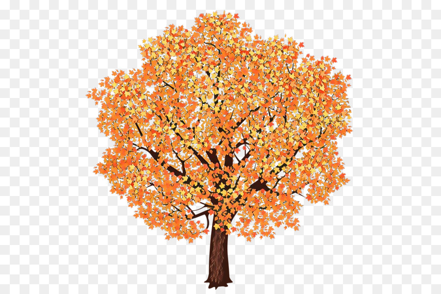 Árbol，Planta PNG