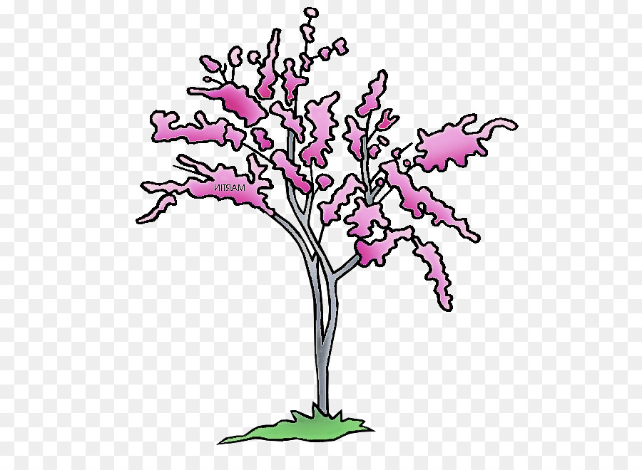 Rama，Árbol PNG