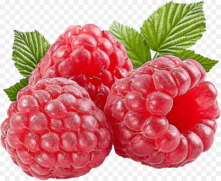 Berry，La Fruta PNG