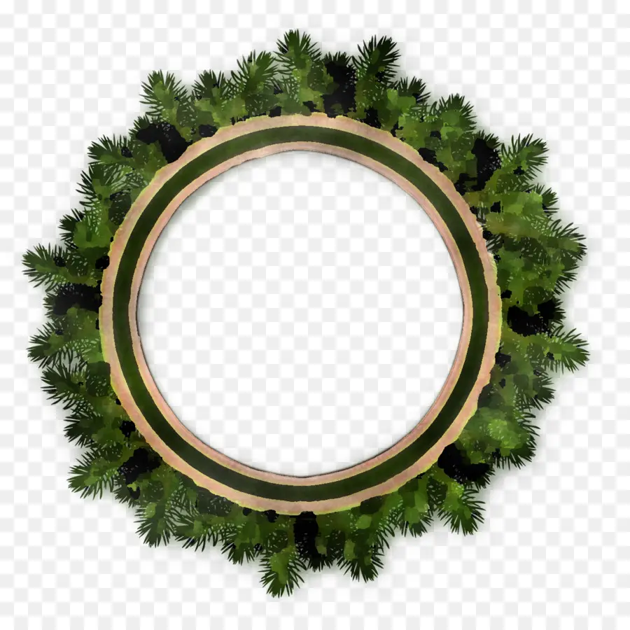 Hoja，Árbol PNG