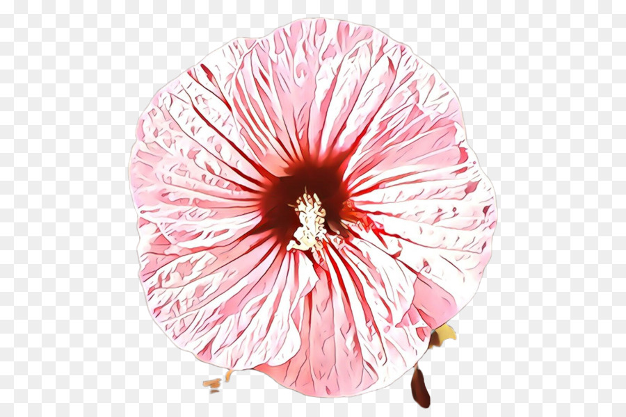 Flor，Rosa PNG