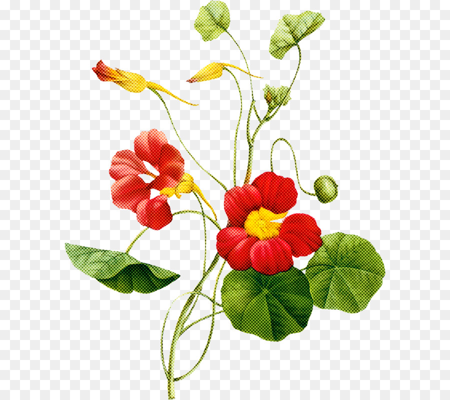 Diseño Floral，Flores PNG