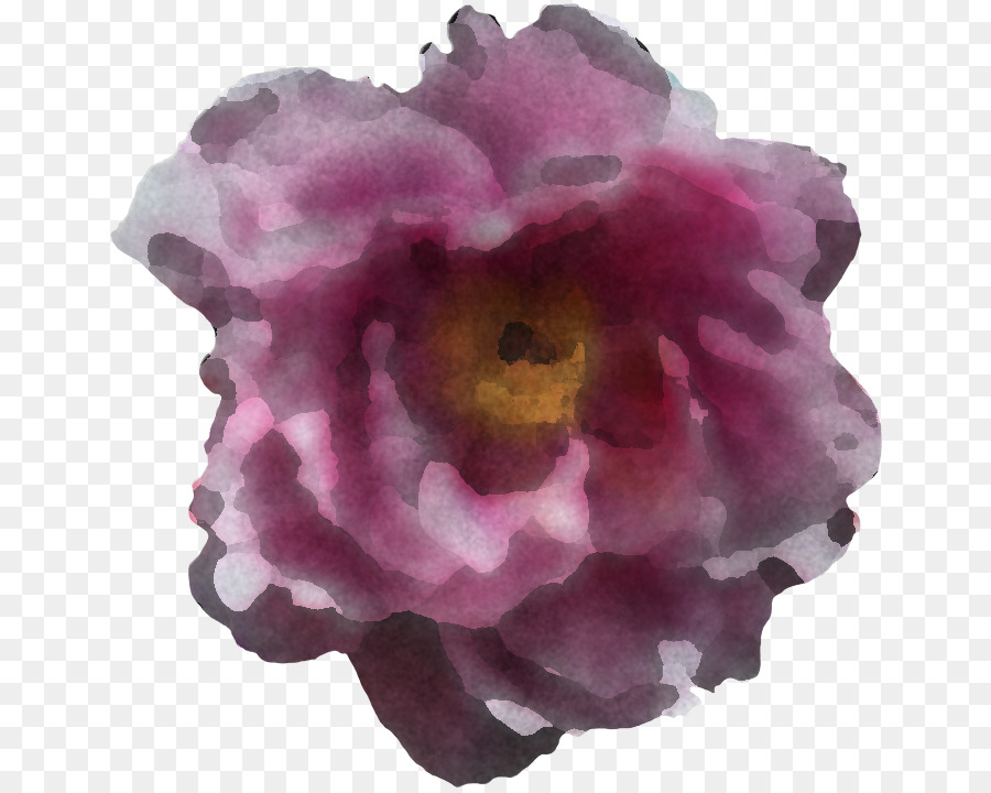 Flor De Acuarela，Cuadro PNG