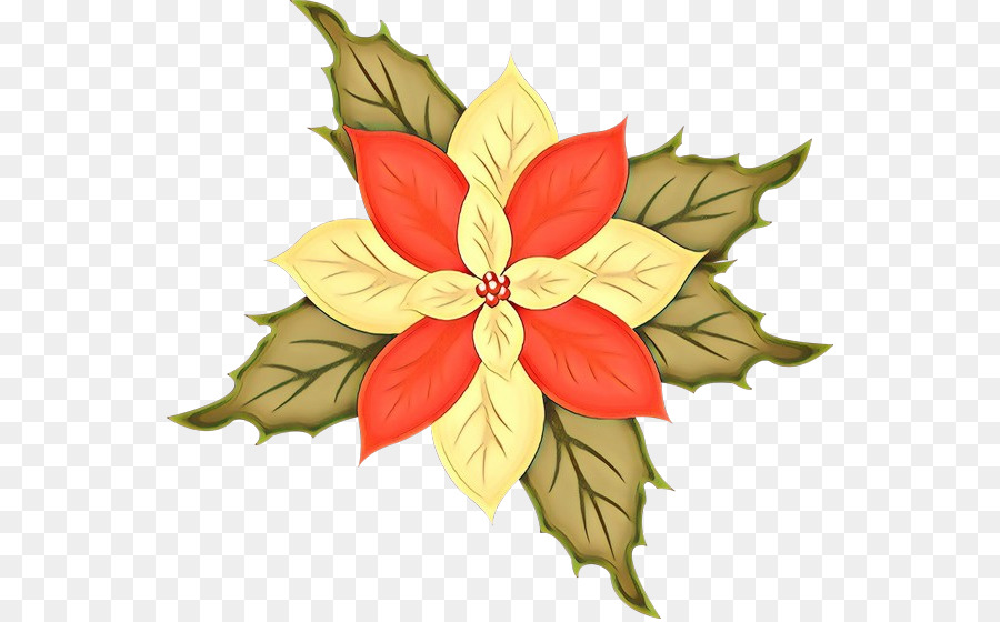 Flor De Pascua，Flor PNG