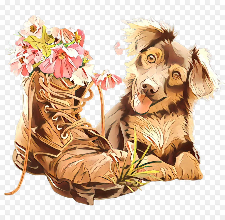 Perro Y Bota Con Flores，Mascota PNG