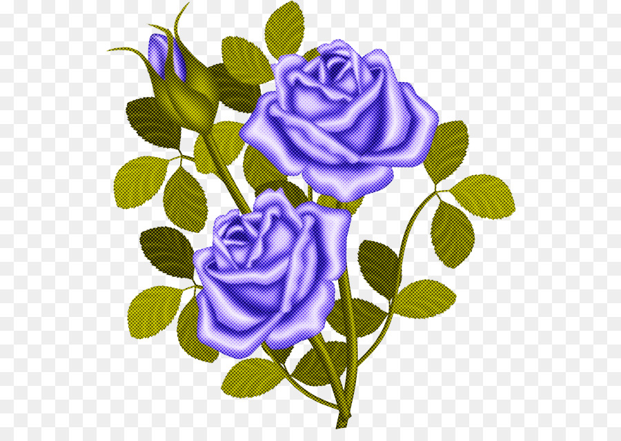 Rosas Moradas，Flores PNG