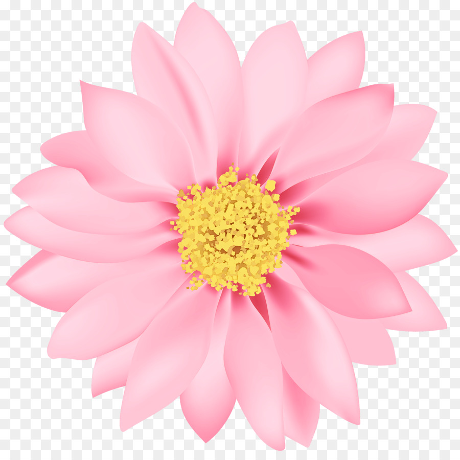 Flor，Rosa PNG