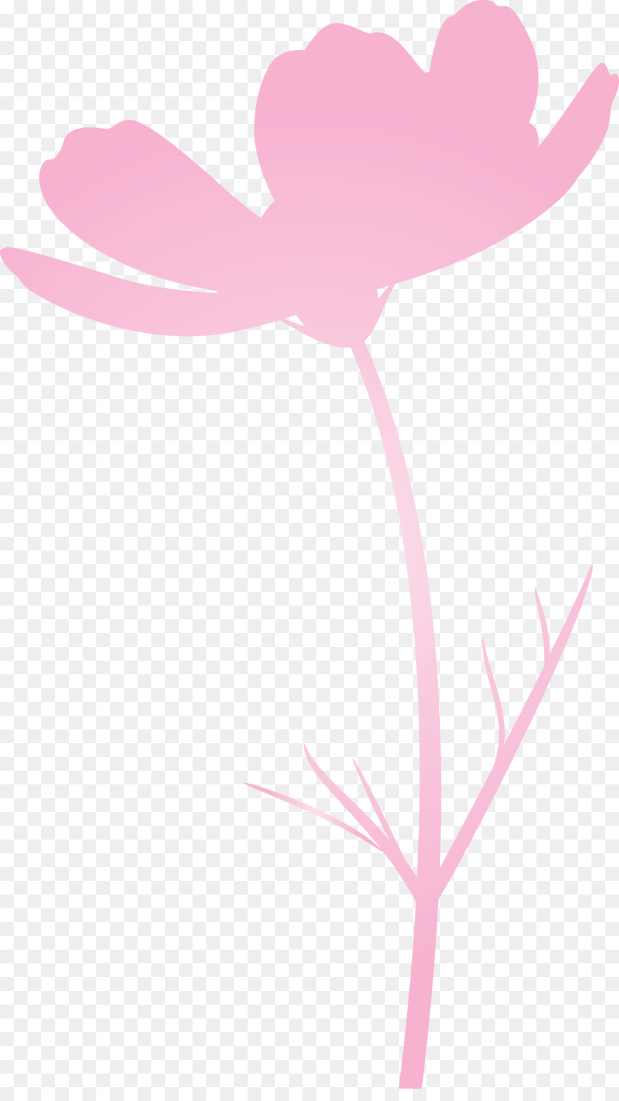 Rosa，Pedicelo PNG