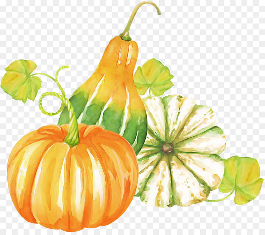 Calabaza，Cucurbita PNG