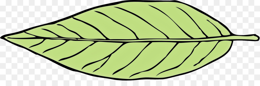 Hoja Verde，Naturaleza PNG