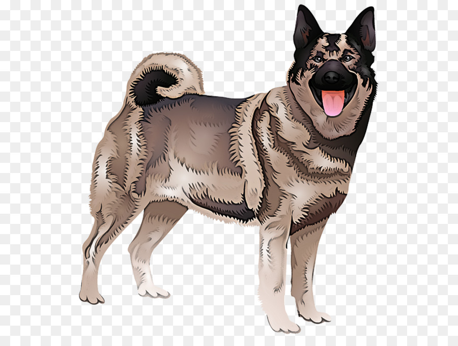 Perro，Cazador De Alces Noruego PNG