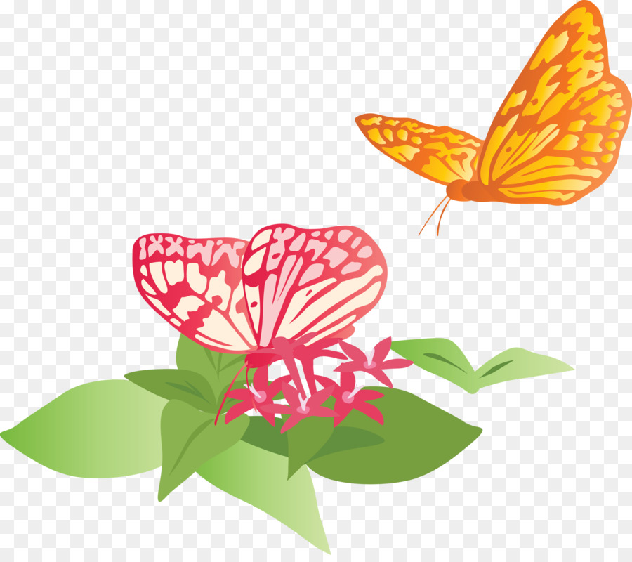 Mariposa，Las Polillas Y Las Mariposas PNG