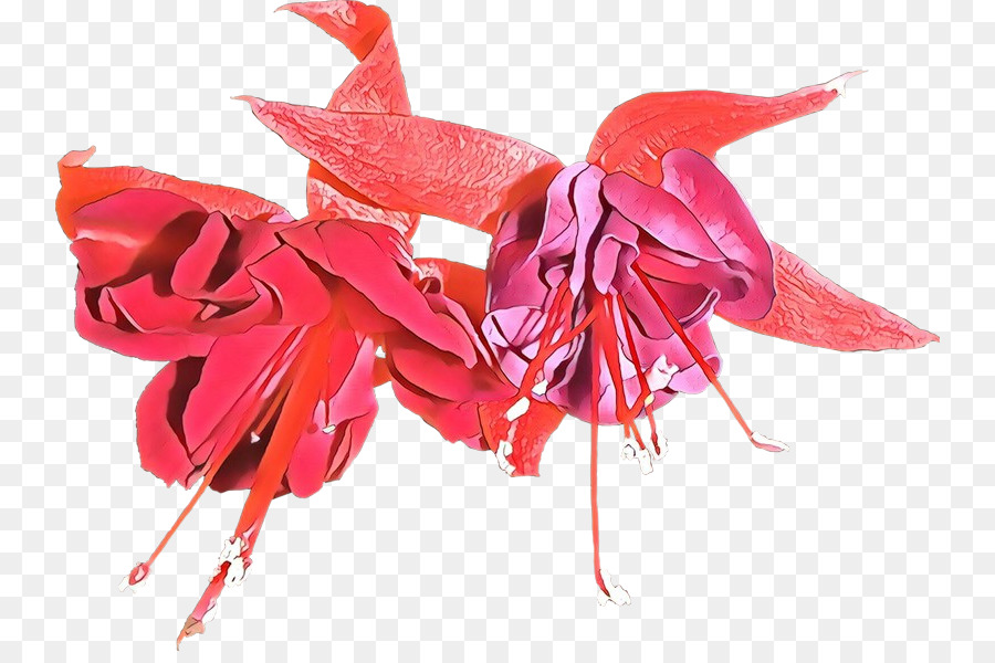 Rojo，Planta PNG