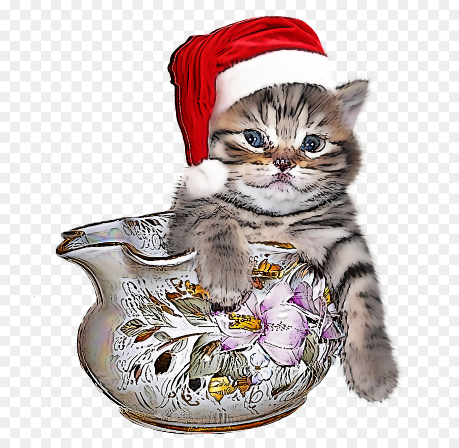 Gatito，Gato PNG