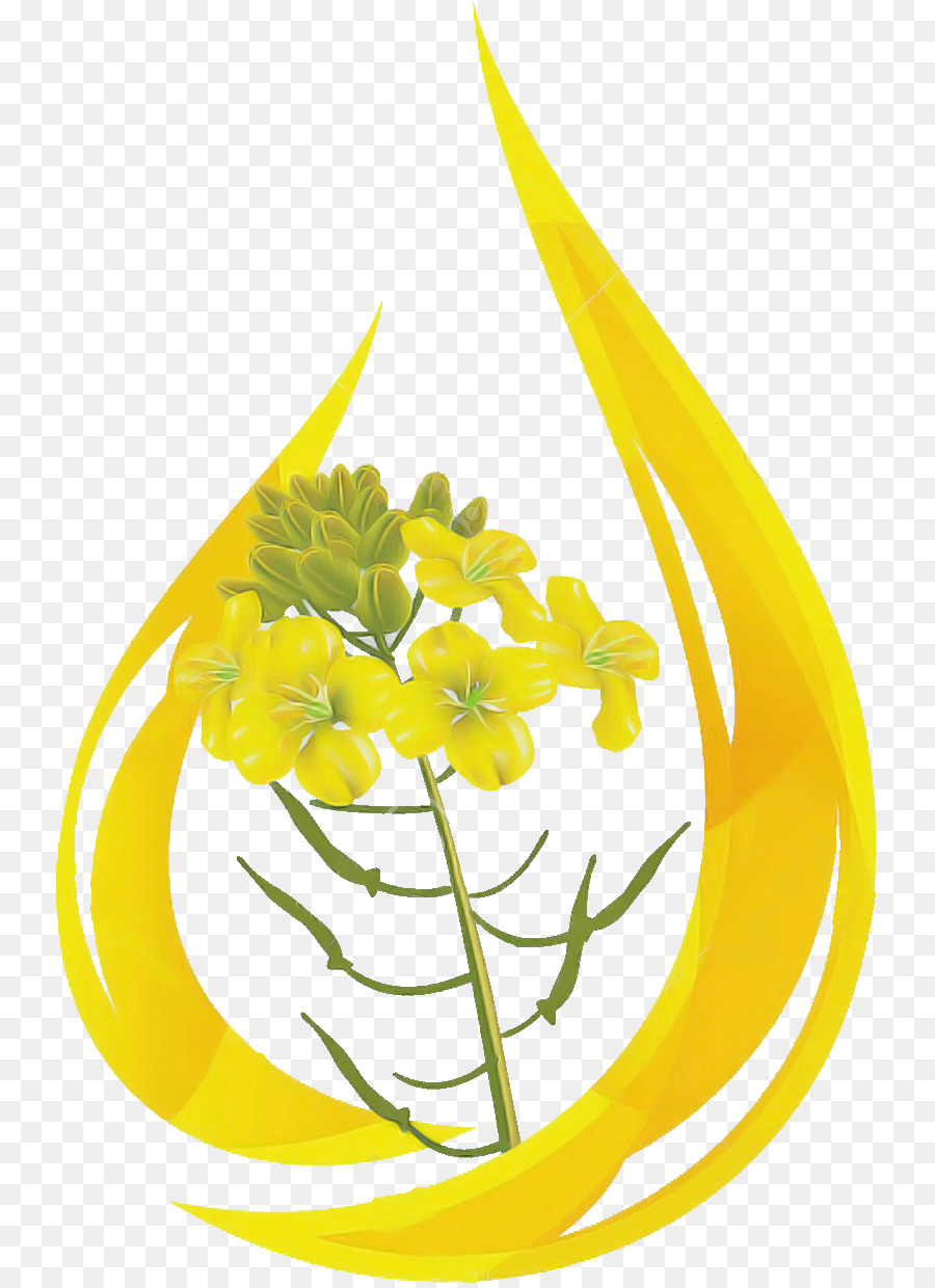 Amarillo，Flor PNG