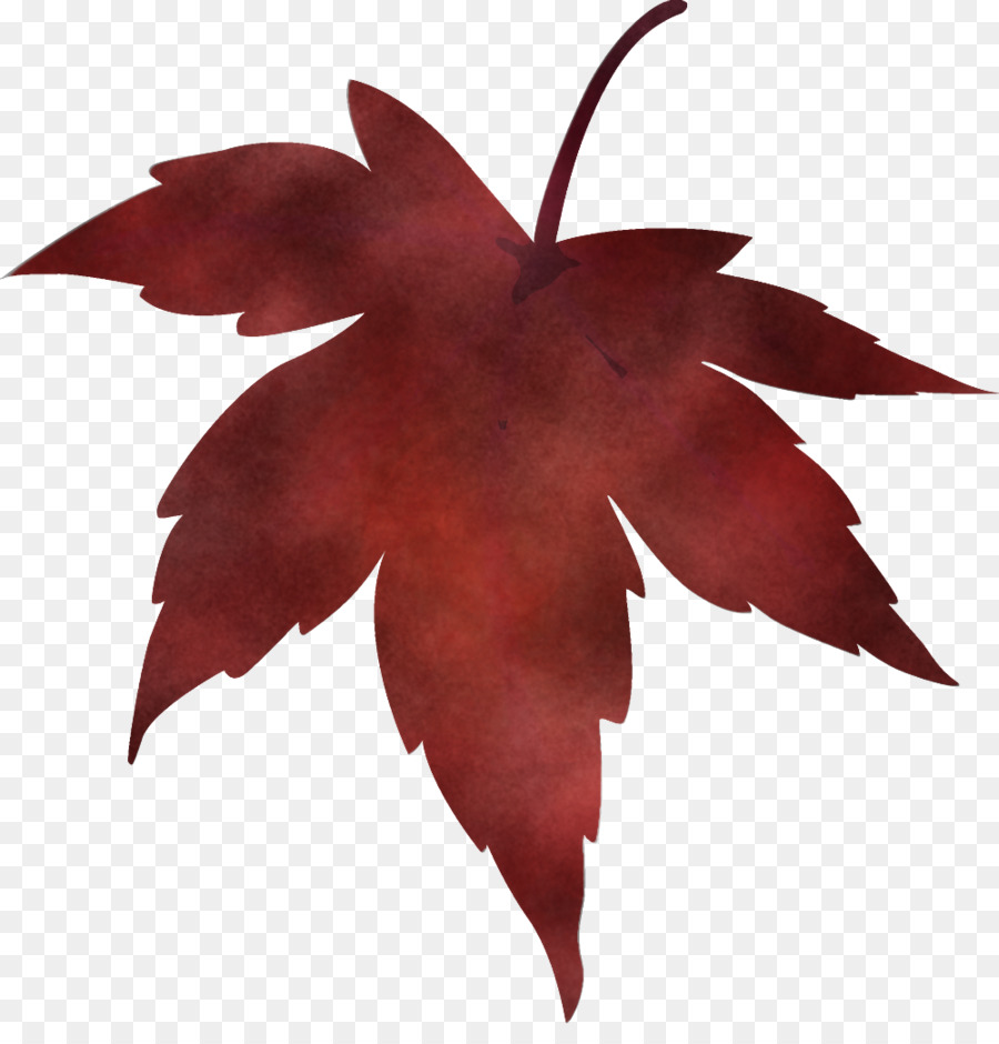 Hoja，Árbol PNG