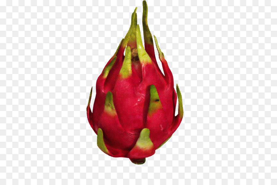 La Yema，Planta PNG