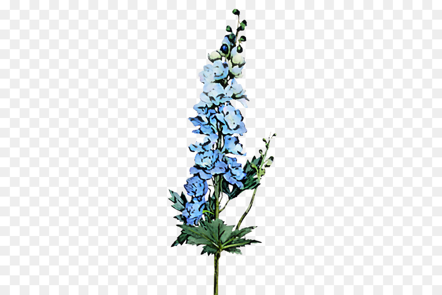 Flor，Azul PNG