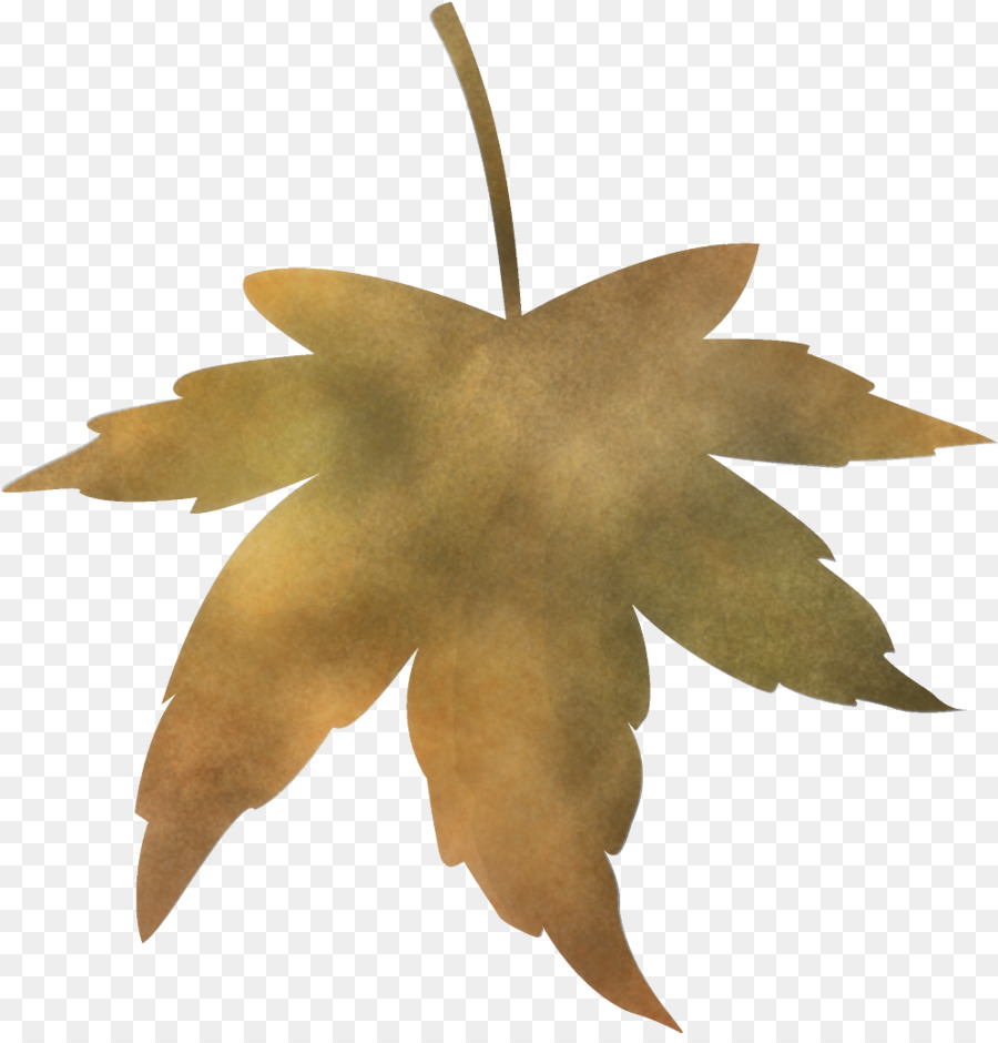 Hoja，Árbol PNG