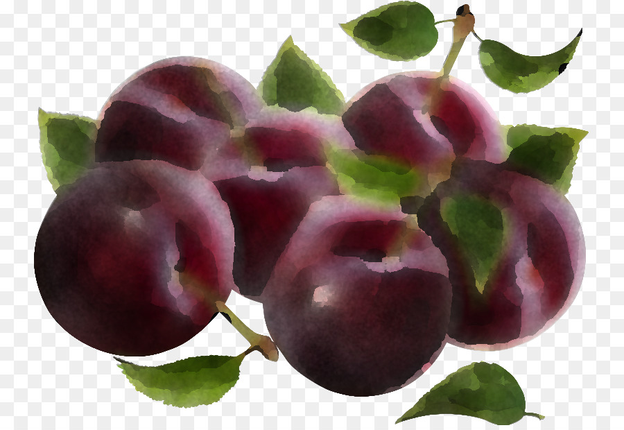 El Ciruelo Europeo，La Fruta PNG