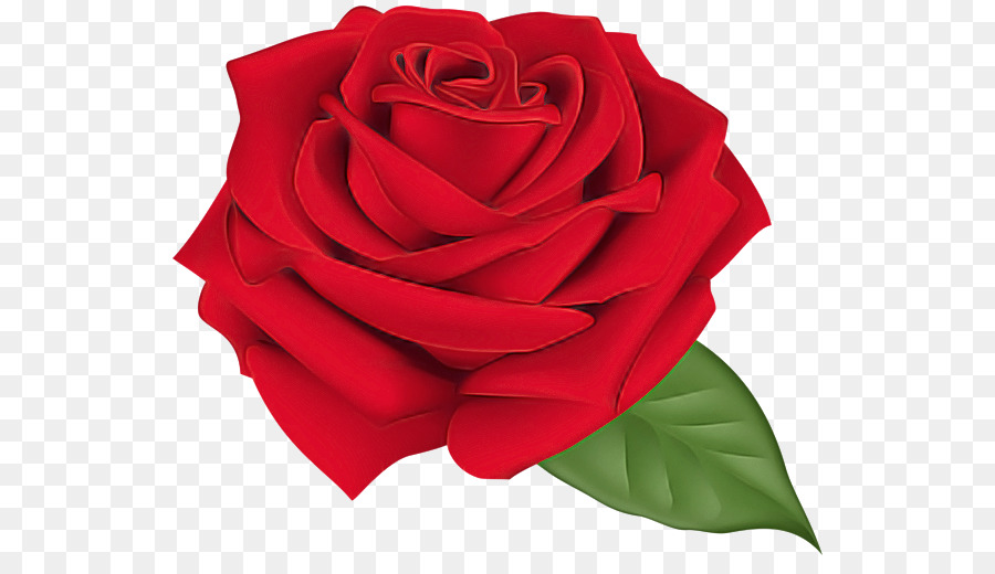 Rosa，Rojo PNG